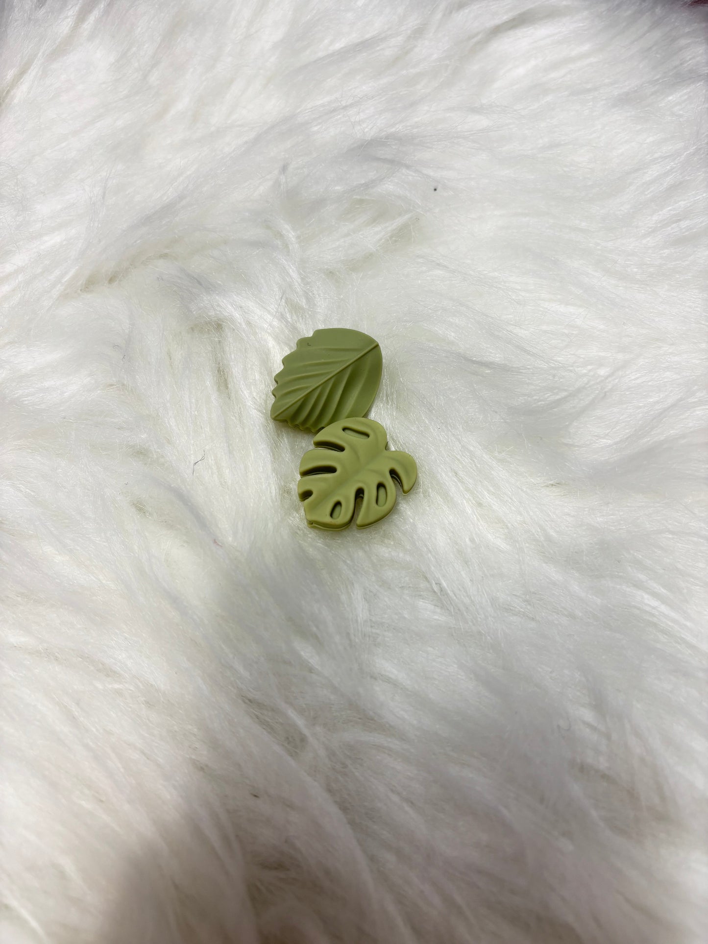 Feuilles vert sauge