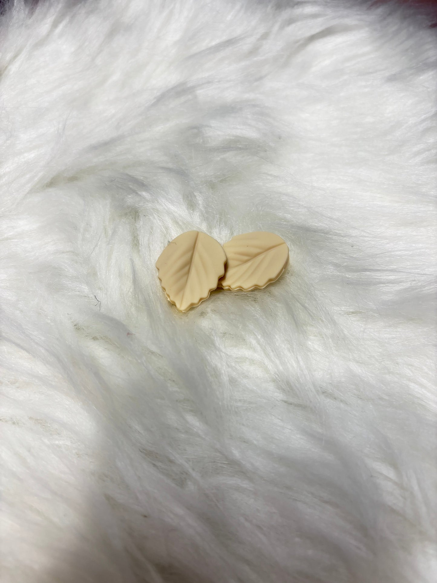 Feuilles beige