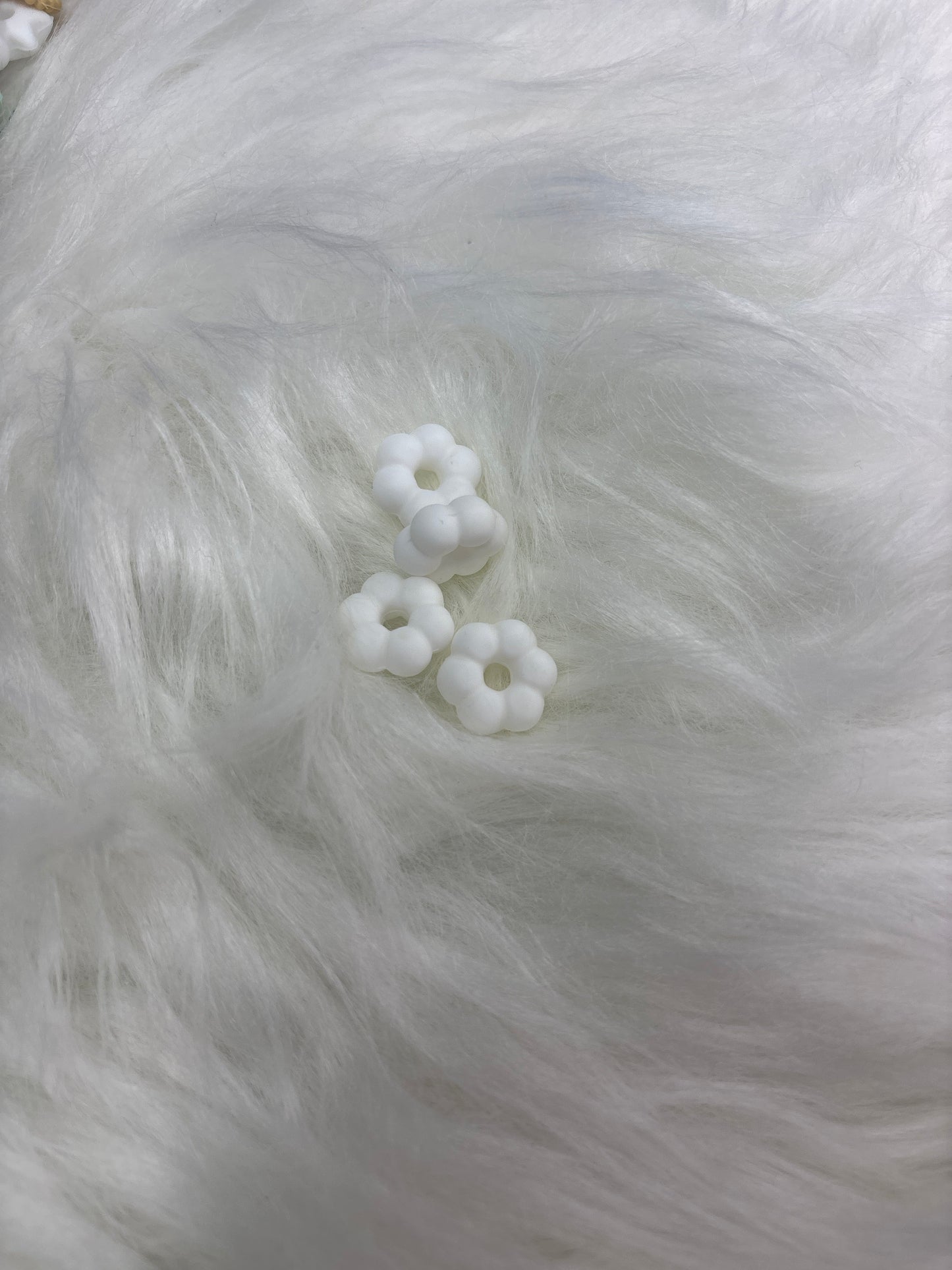 Lentilles fleur blanc
