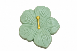 Hibiscus vert sauge
