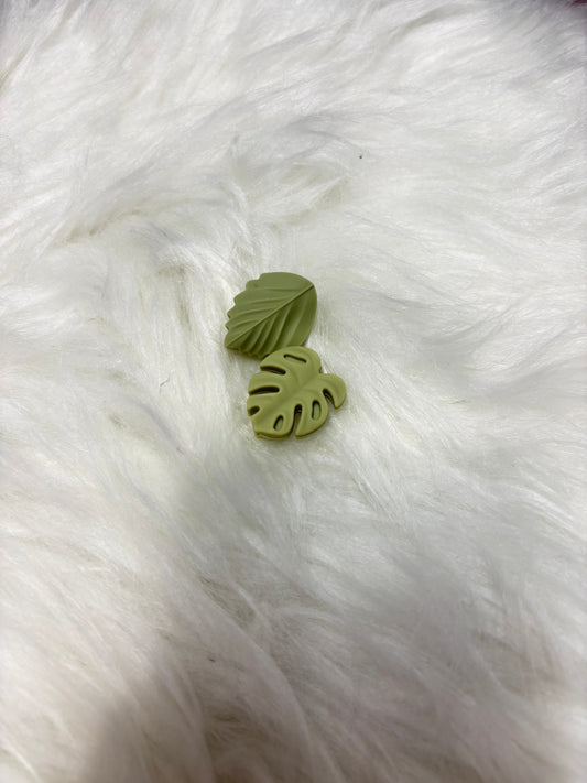 Feuilles vert sauge