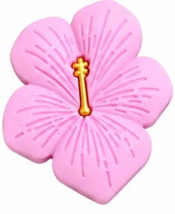 Hibiscus rose blush
