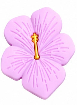 Hibiscus rose clair